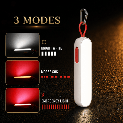 Portable LED Light with Power Bank